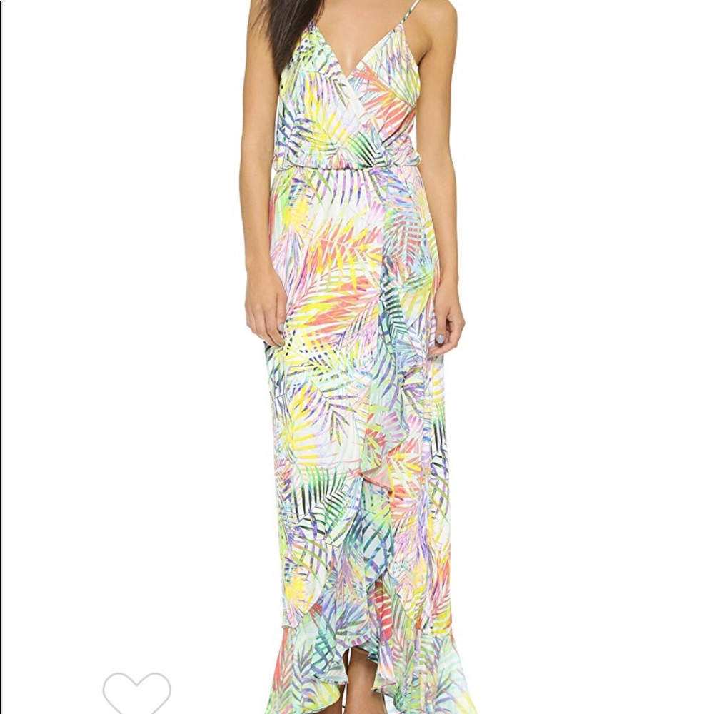 Parker Halle Dress in Palmetto Print
